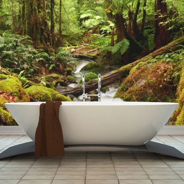 Fotótapéta - Rainforest