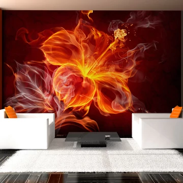 Fotótapéta - Fiery flower