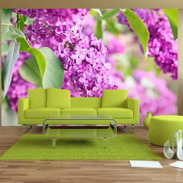 Fotótapéta - Lilac flowers