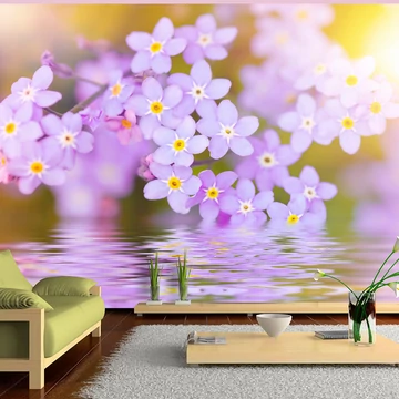 Fotótapéta -  Violet Petals In Bloom