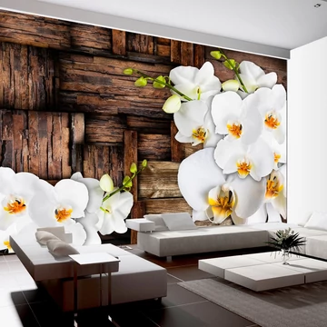 Fotótapéta - Blooming orchids