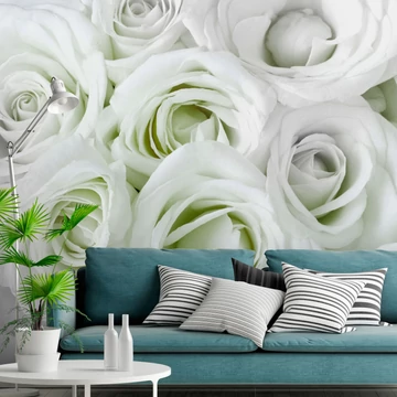 Öntapadó fotótapéta - Satin Rose (Green)