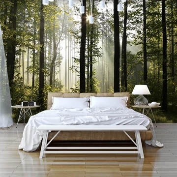 Öntapadó fotótapéta - Forest: Morning Sunlight