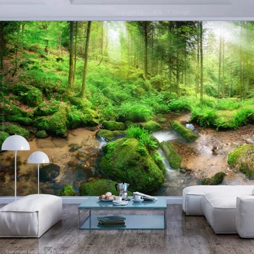 Öntapadó fotótapéta - Humid Forest