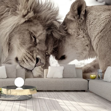 Fotótapéta - Lion Tenderness (Sepia)