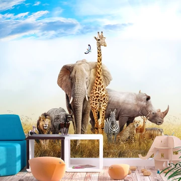 Öntapadó fotótapéta - Fauna of Africa