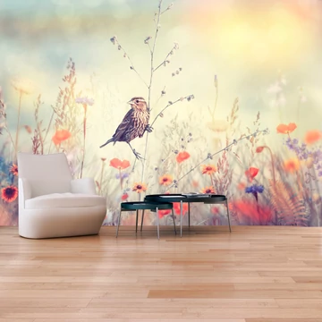 Öntapadó fotótapéta - Field Bird