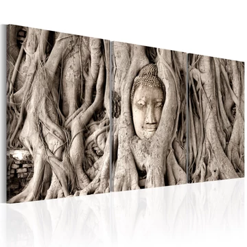 Kép - Meditation's Tree