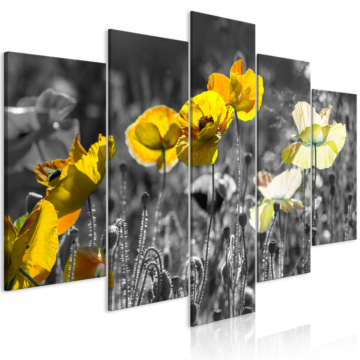 Kép - Yellow Poppies (5 Parts) Wide