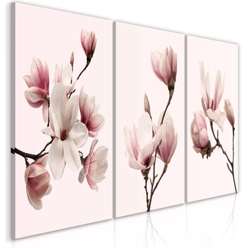 Kép - Spring Magnolias (3 Parts)