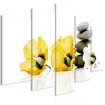Kép - Calm Mallow (5 Parts) Wide Yellow