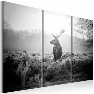 Kép - Black and White Deer I
