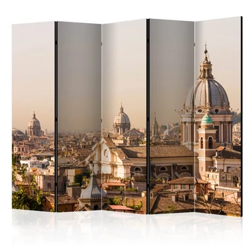 Paraván - Rome - bird's eye view II [Room Dividers]