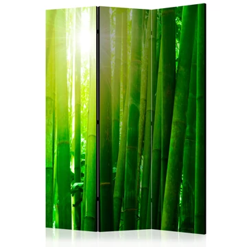 Paraván - Sun and bamboo [Room Dividers]