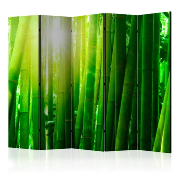 Paraván - Sun and bamboo II [Room Dividers]