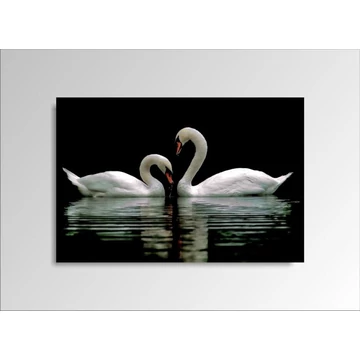 Digital Art vászonkép | 1222-S Swans ONE