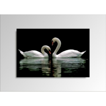 Digital Art vászonkép | 1222-S Swans ONE