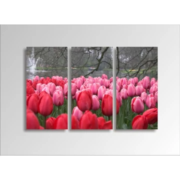 Digital Art vászonkép | 1219-S Tulpen THREE