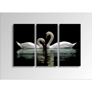 Digital Art vászonkép | 1222-S Swans THREE / POG 4336