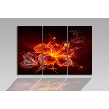 Digital Art vászonkép | 1262-S Fire Flower 2 THREE