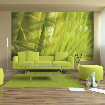 Fotótapéta - bamboo - nature zen