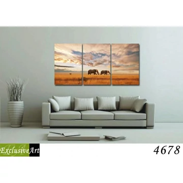 Exclusive Art vászonkép | 4678