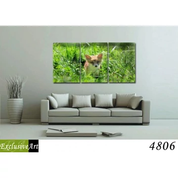Exclusive Art vászonkép | 4806