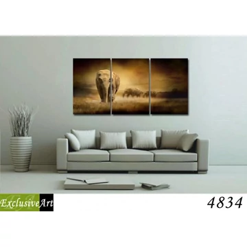 Exclusive Art vászonkép | 4834