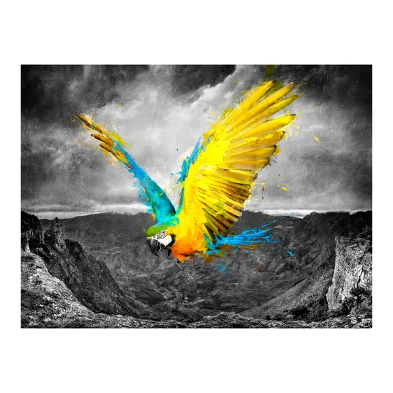 Fotótapéta - Exotic parrot