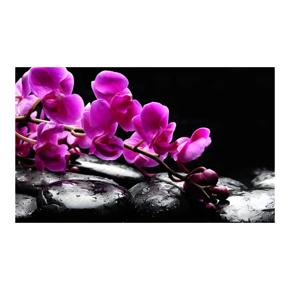 Fotótapéta - Relaxáló pillanat: orchidea virág és kövek