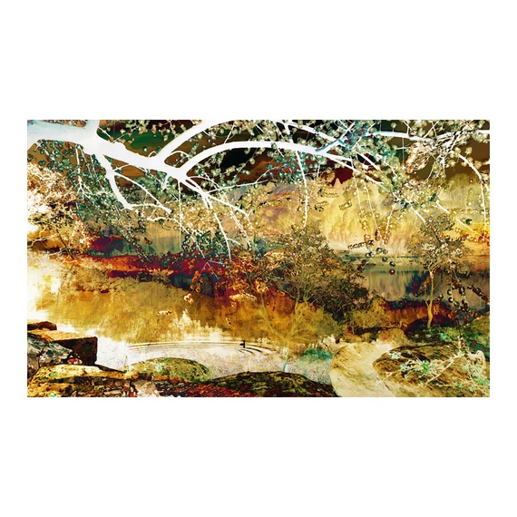 Fotótapéta - River of life