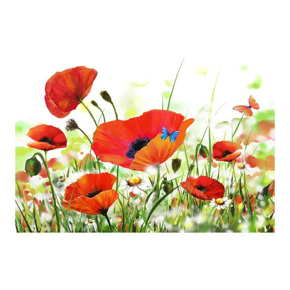 Fotótapéta - Country poppies