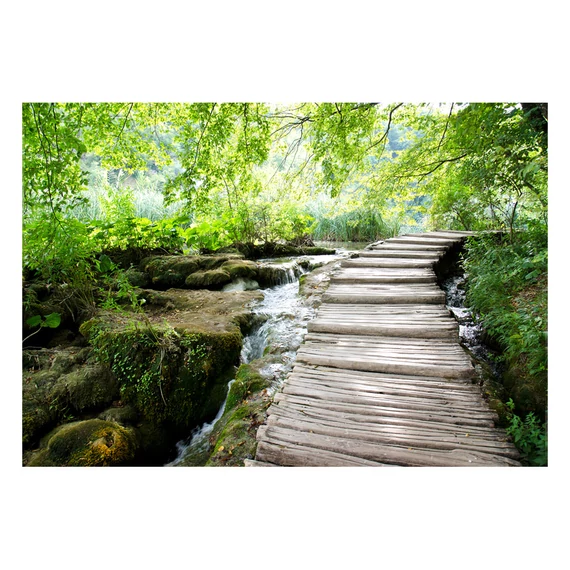 Öntapadó fotótapéta - Forest path