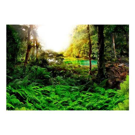 Fotótapéta - In tropics