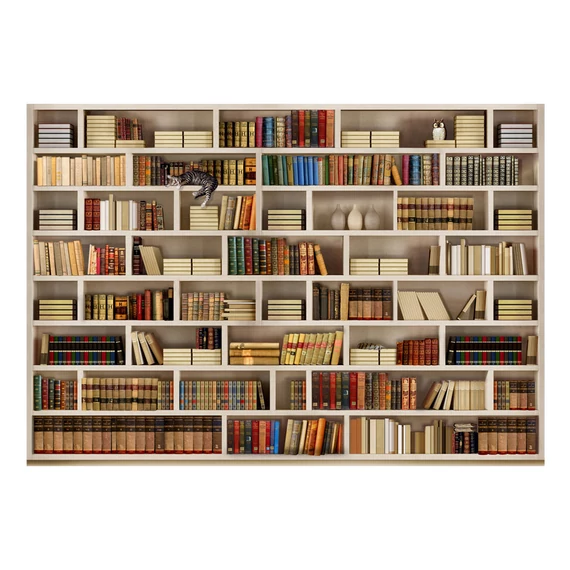 Öntapadó fotótapéta - Home library