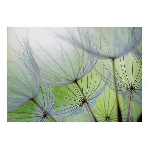 Öntapadó fotótapéta - Fleeting moments