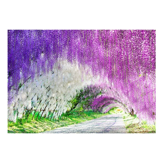Fotótapéta - Enchanted garden
