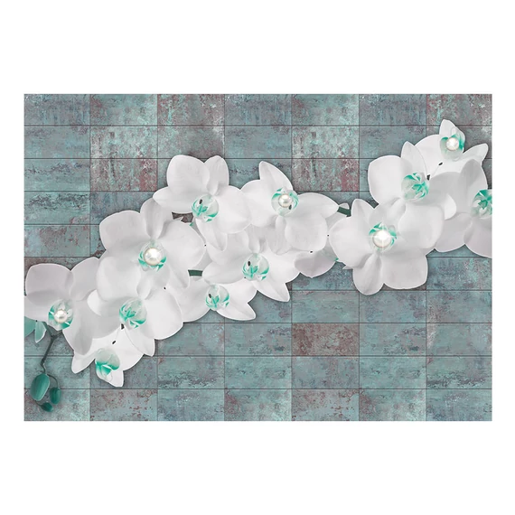 Fotótapéta - Orchids with pearls