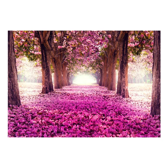Öntapadó fotótapéta - Pink path