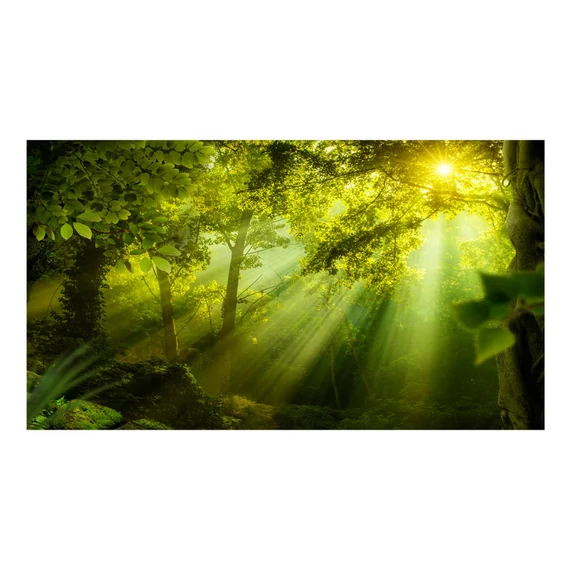 Öntapadó fotótapéta -  In a Secret Forest II