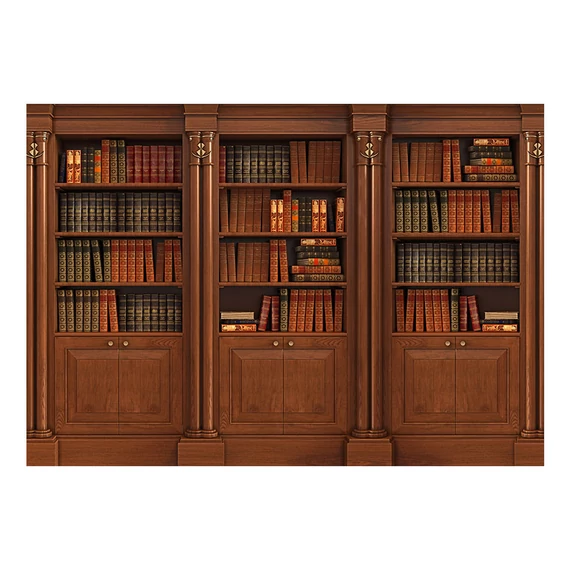 Öntapadó fotótapéta - Elegant Library