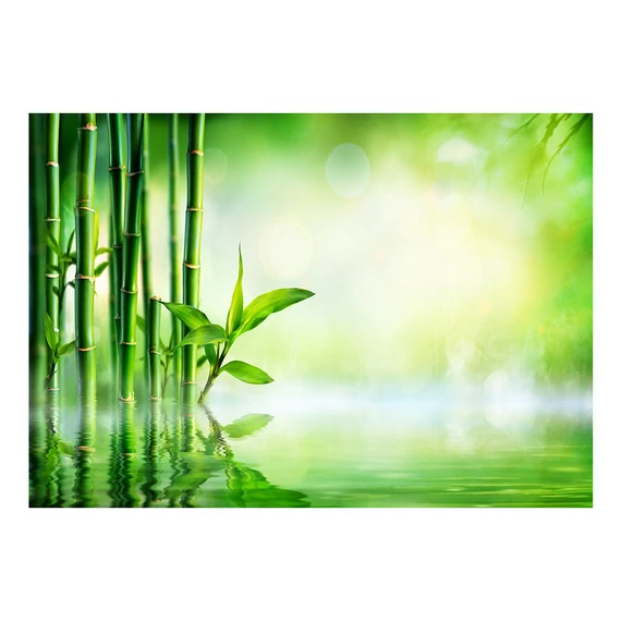 Öntapadó fotótapéta - Bamboo Grove