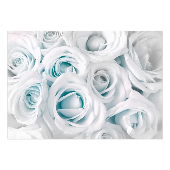 Öntapadó fotótapéta - Satin Rose (Turquoise)