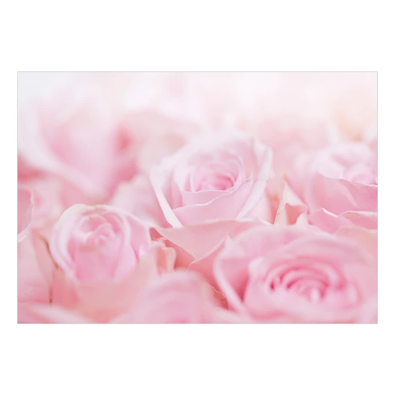 Öntapadó fotótapéta - Ocean of Roses
