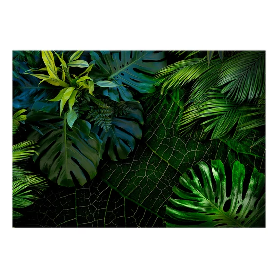 Öntapadó fotótapéta - Dark Jungle