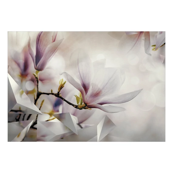 Fotótapéta - Subtle Magnolias - First Variant
