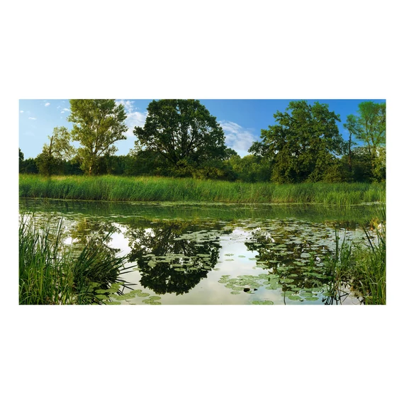 Öntapadó fotótapéta - The Magic Pond II