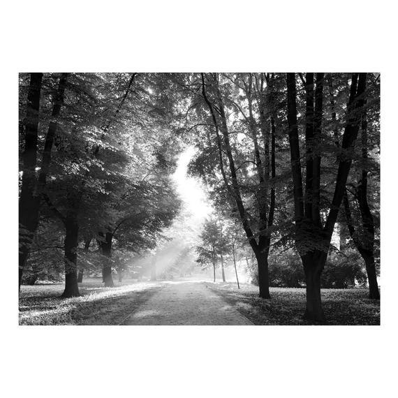 Öntapadó fotótapéta - Path of Memories