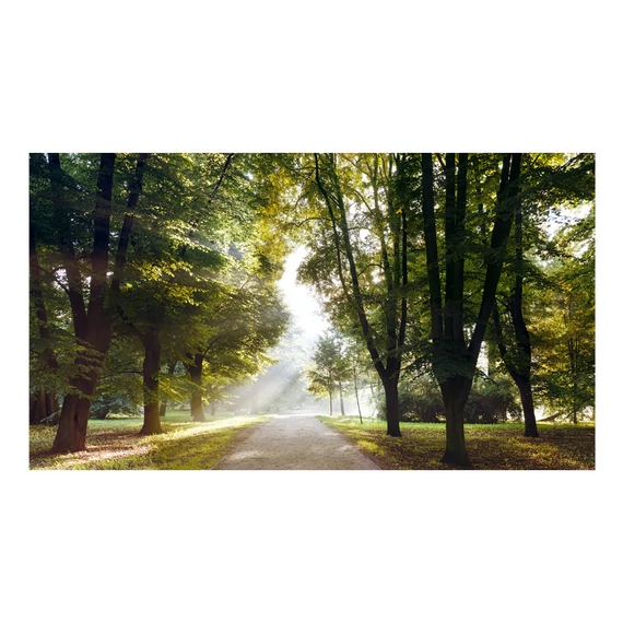 Öntapadó fotótapéta - Morning Walk II