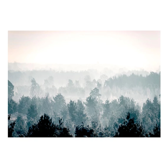 Öntapadó fotótapéta - Winter Forest